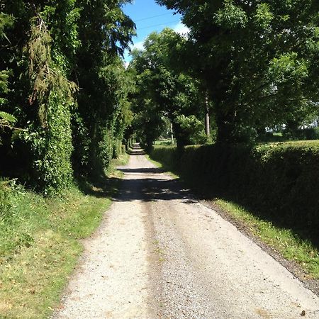 Ballindrum Farm B&B Athy Extérieur photo