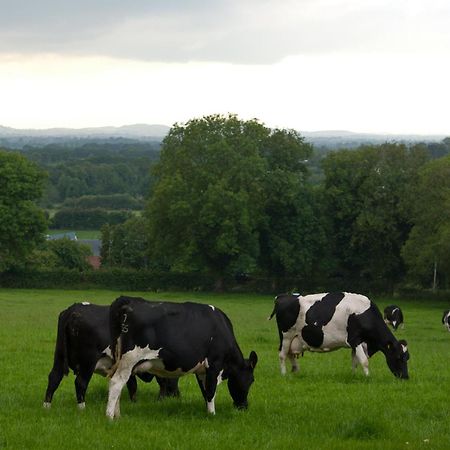 Ballindrum Farm B&B Athy Extérieur photo