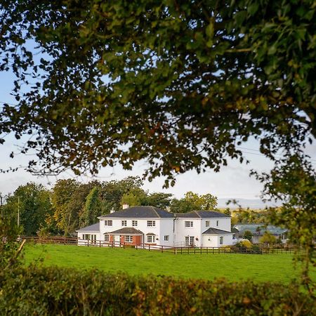 Ballindrum Farm B&B Athy Extérieur photo