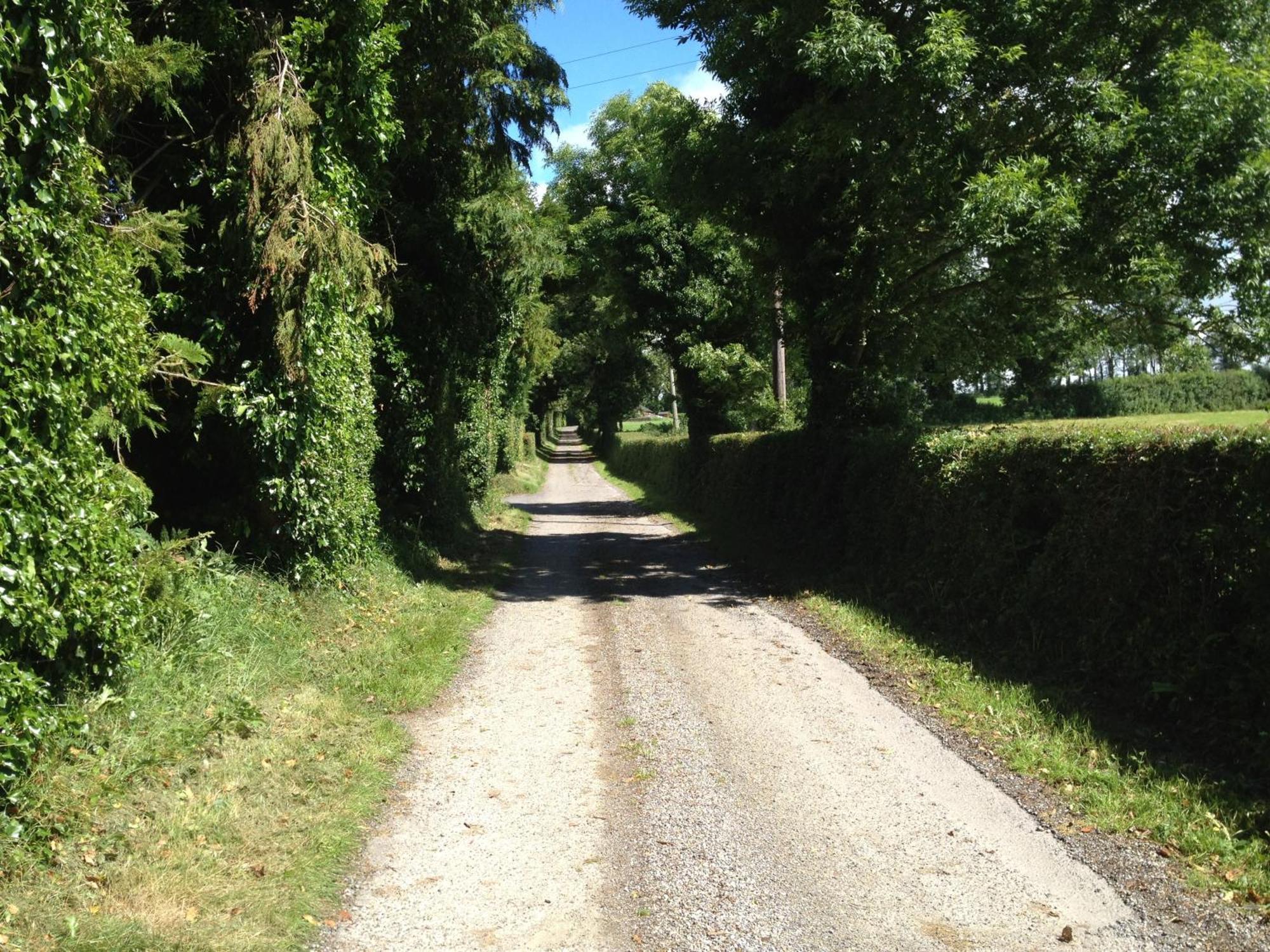 Ballindrum Farm B&B Athy Extérieur photo
