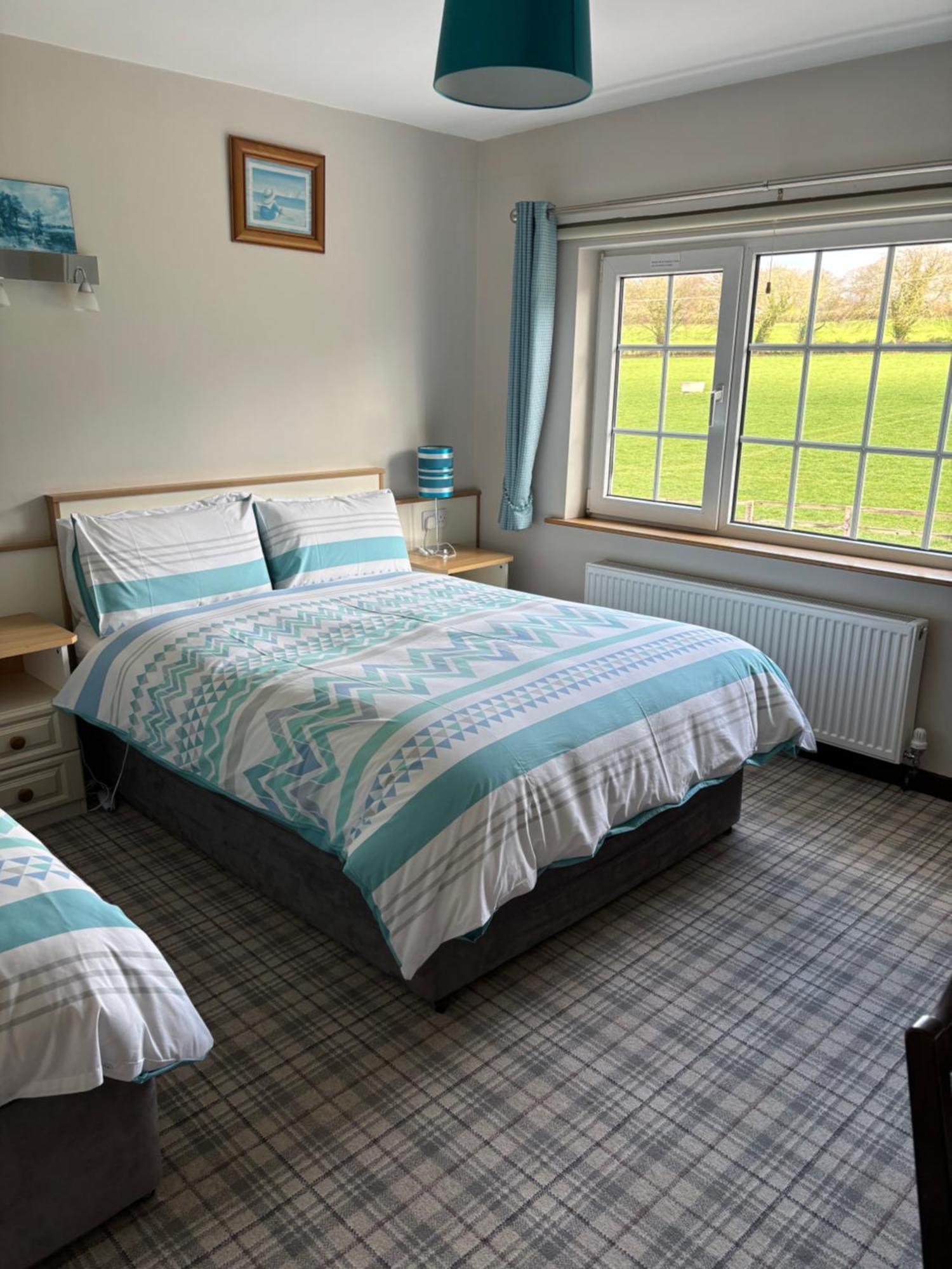 Ballindrum Farm B&B Athy Extérieur photo