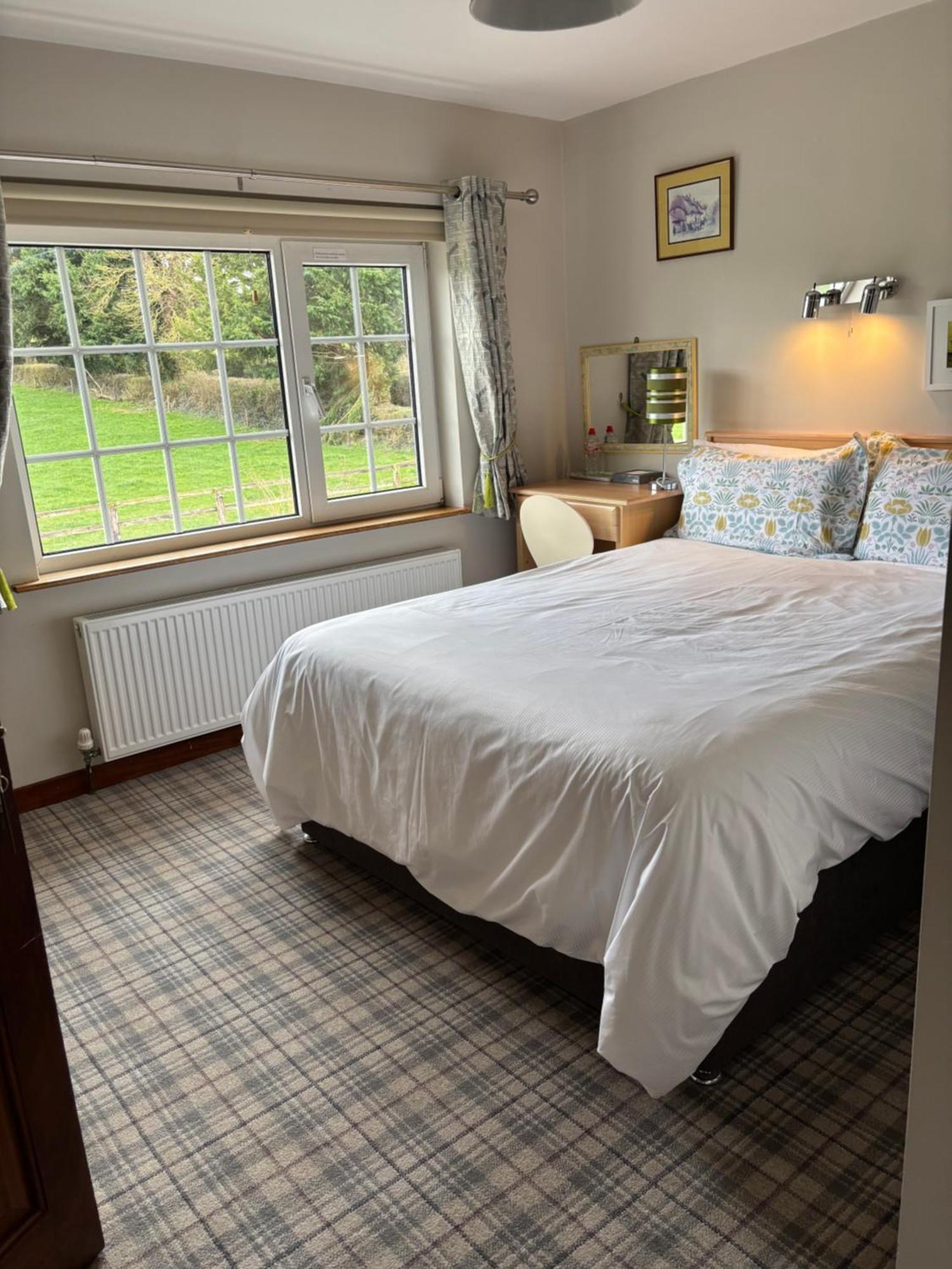 Ballindrum Farm B&B Athy Extérieur photo