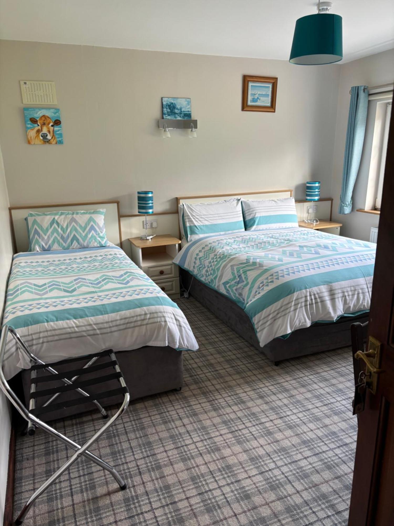 Ballindrum Farm B&B Athy Extérieur photo