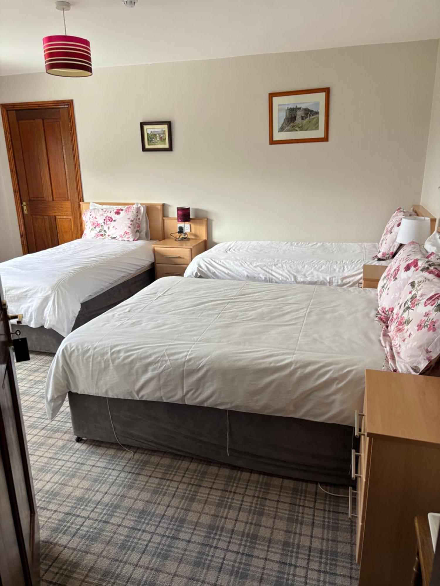 Ballindrum Farm B&B Athy Extérieur photo