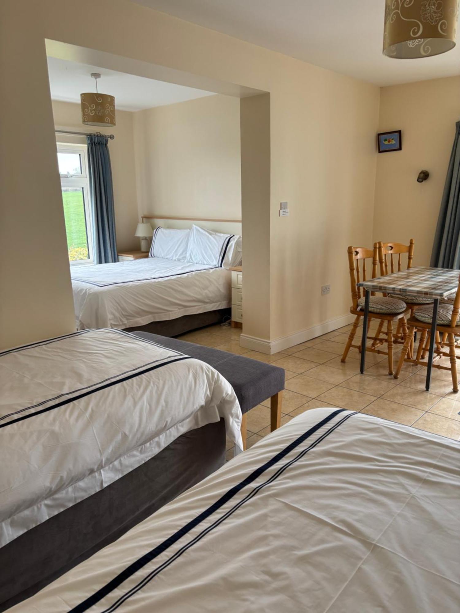 Ballindrum Farm B&B Athy Extérieur photo