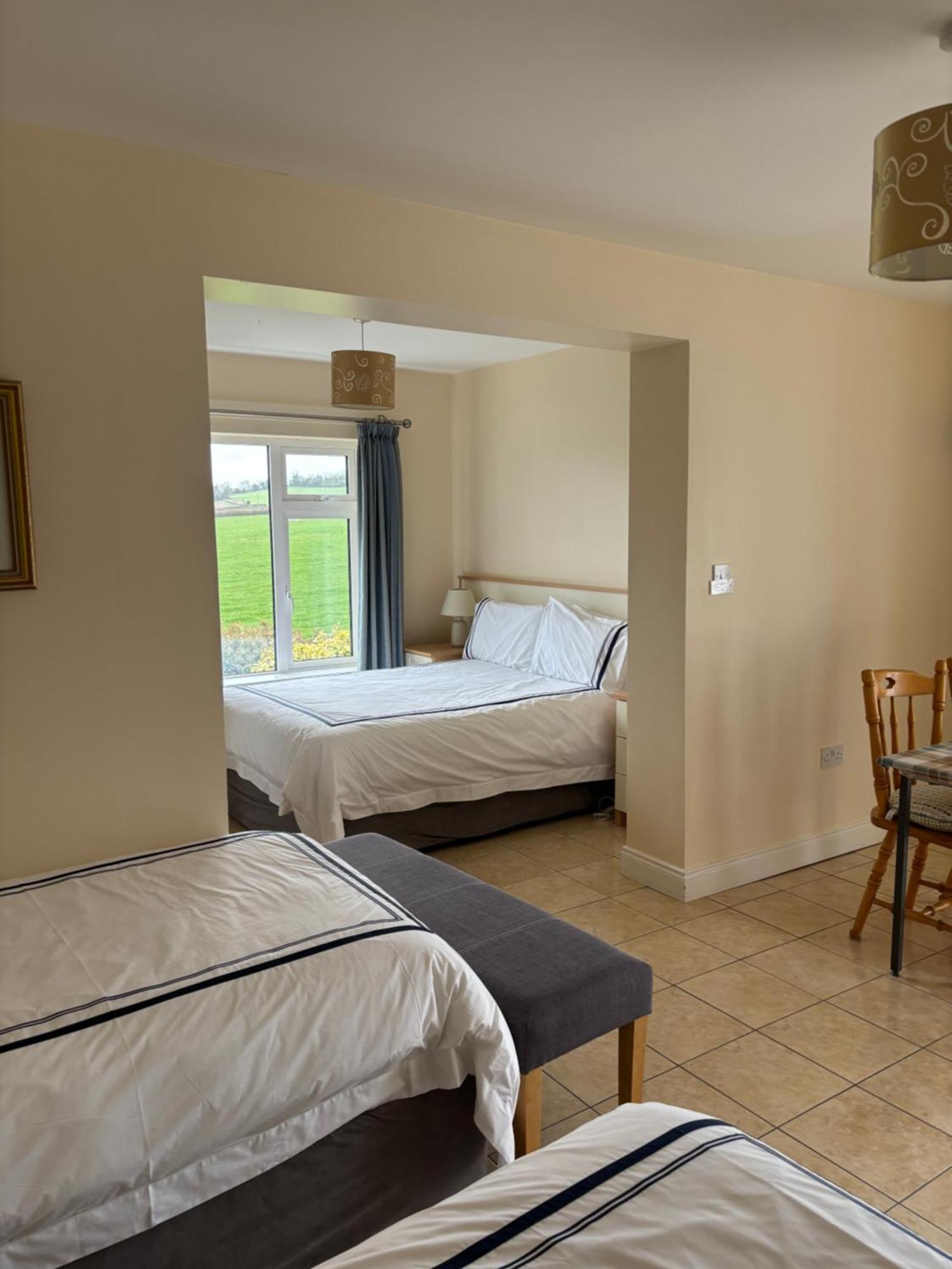 Ballindrum Farm B&B Athy Extérieur photo