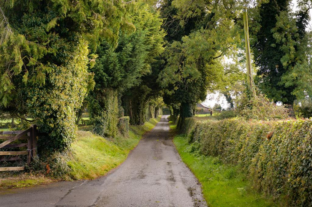 Ballindrum Farm B&B Athy Extérieur photo