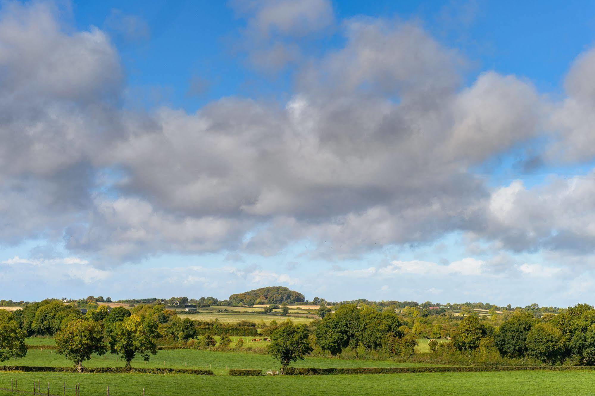 Ballindrum Farm B&B Athy Extérieur photo