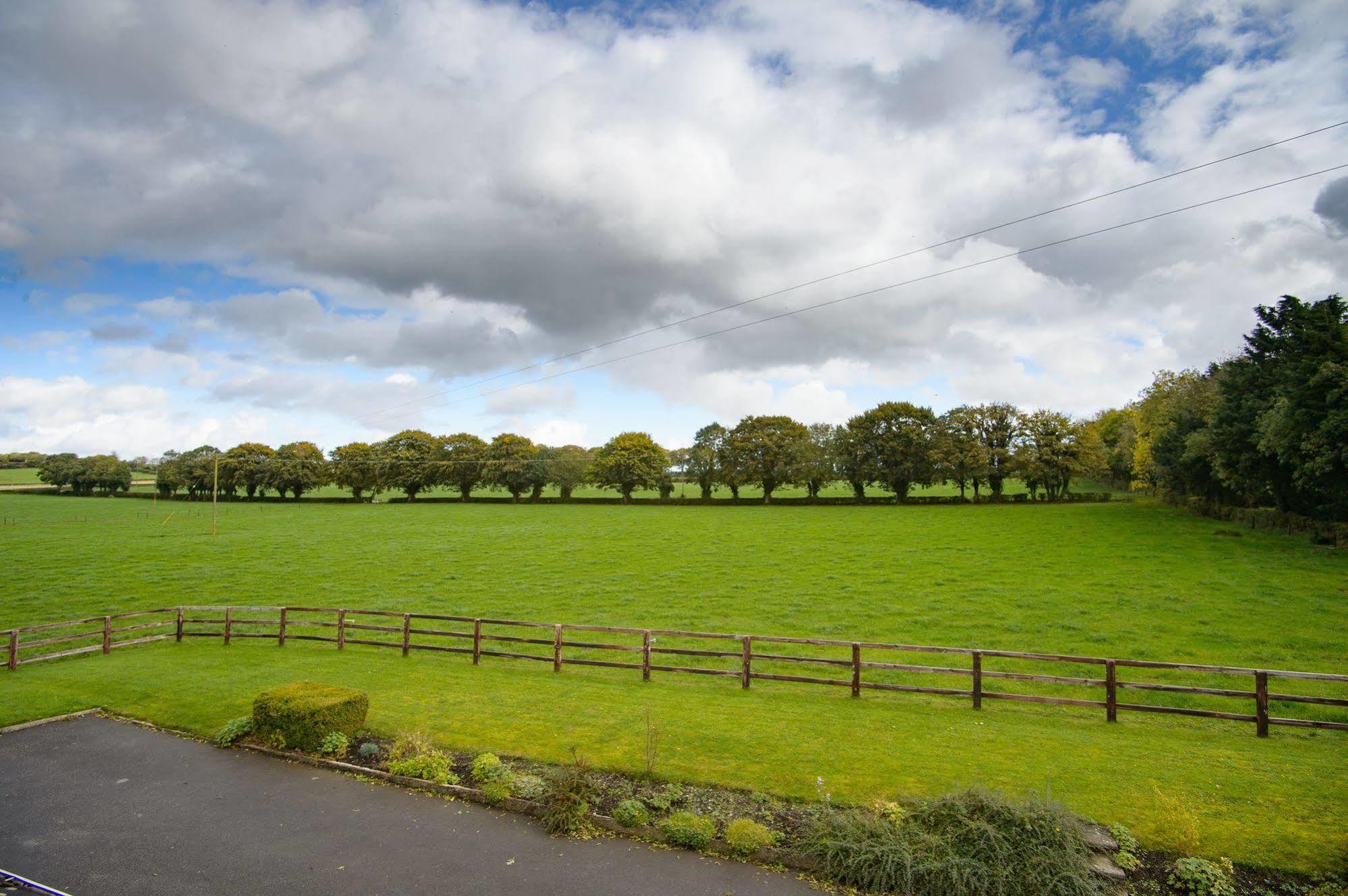 Ballindrum Farm B&B Athy Extérieur photo