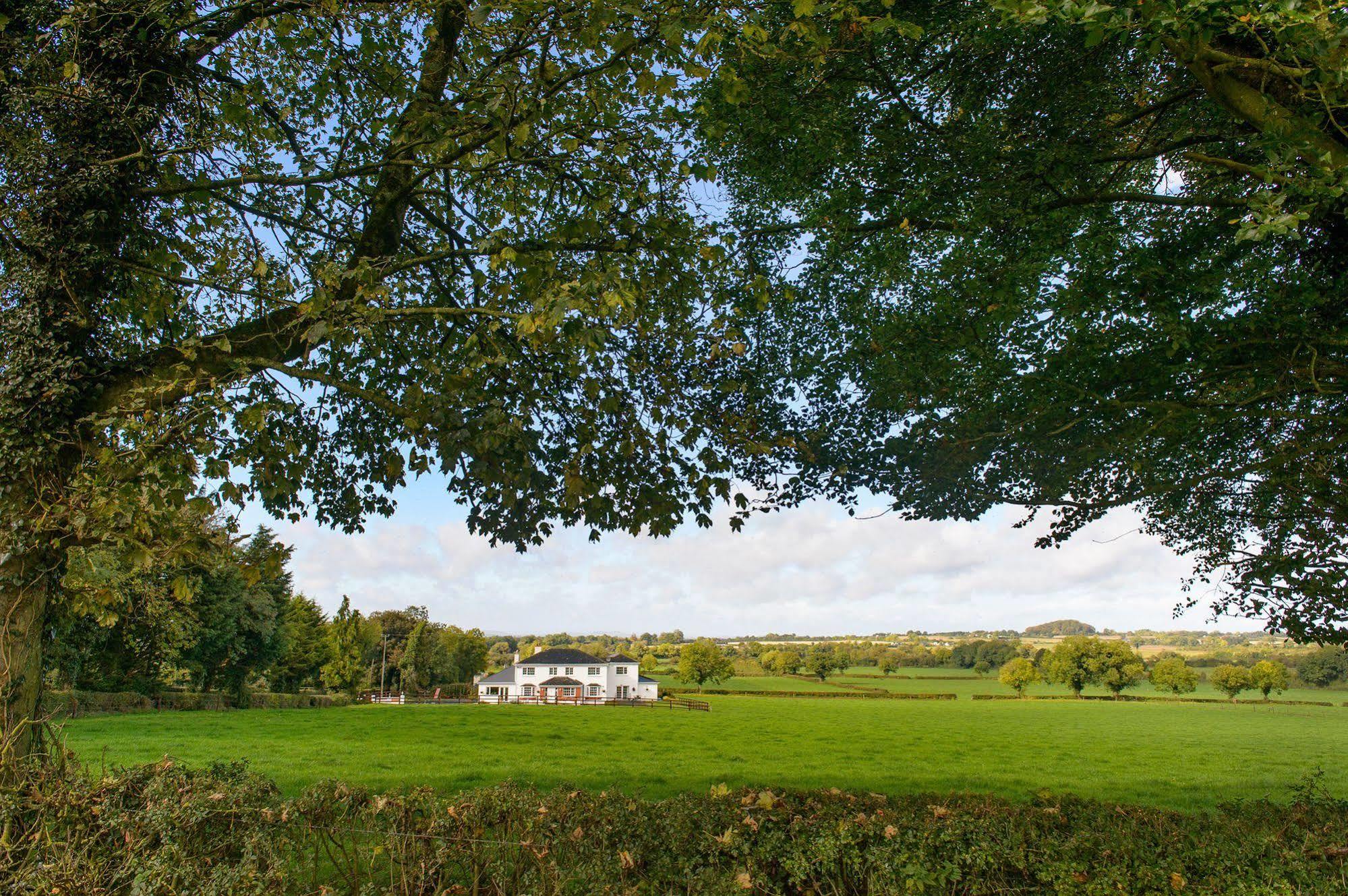 Ballindrum Farm B&B Athy Extérieur photo